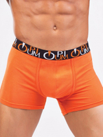 Яркие и удобные мужские боксеры (Размер: XL) (Цвет: оранжевый)