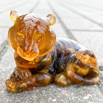 Тигр лежит сложив лапы