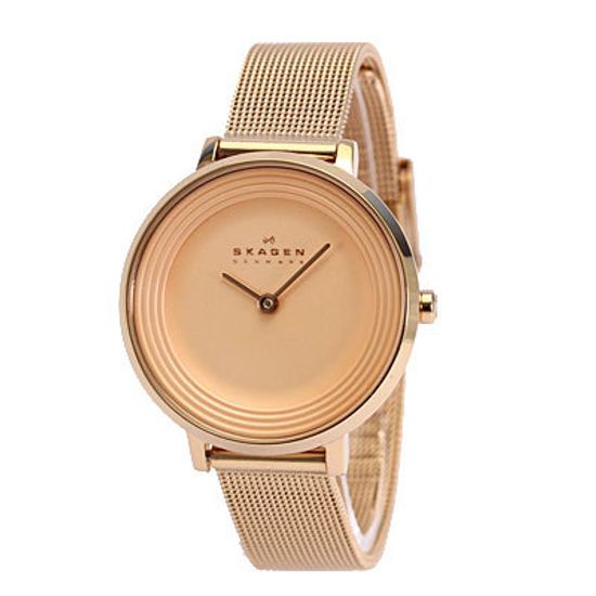Женские часы Skagen SKW2213