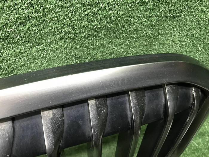 Решетка радиатора BMW X7 G07 (2019-2022)