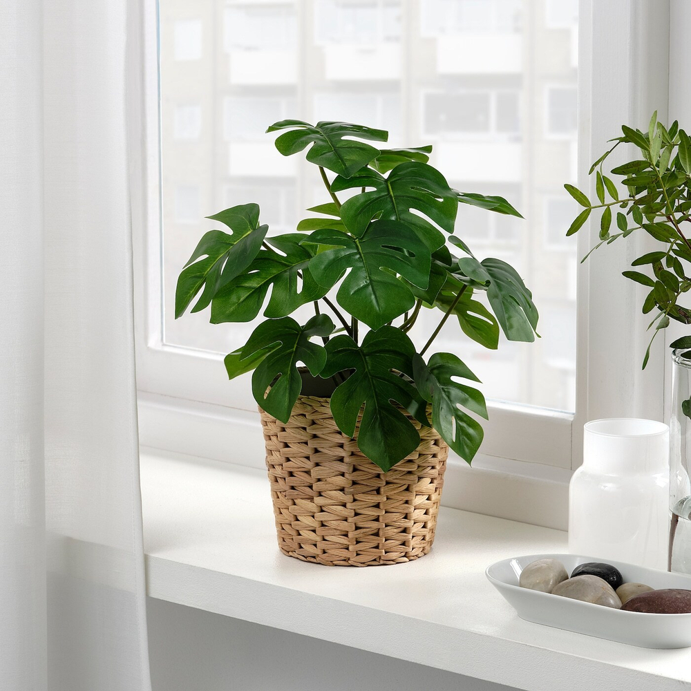FEJKA Искусственное горшечное растение, комнатное/открытое Monstera, 12 см