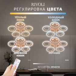 Светильник потолочный светодиодный Rivoli   6178-733 LED 70Вт 3000-6000К с пультом