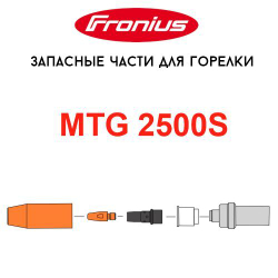 Вставка M6 / SW9x31 / ø13,5 упаковка 5 шт (42,0001,4608,5)