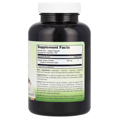 Amazing India, Имбирь, 500 мг, 120 растительных капсул
