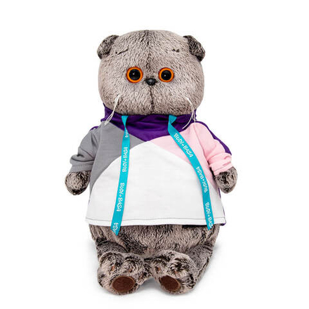 Басик в разноцветной толстовке Ks25-180