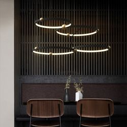 Подвесной кольцевой светильник PLANETARY D50+40