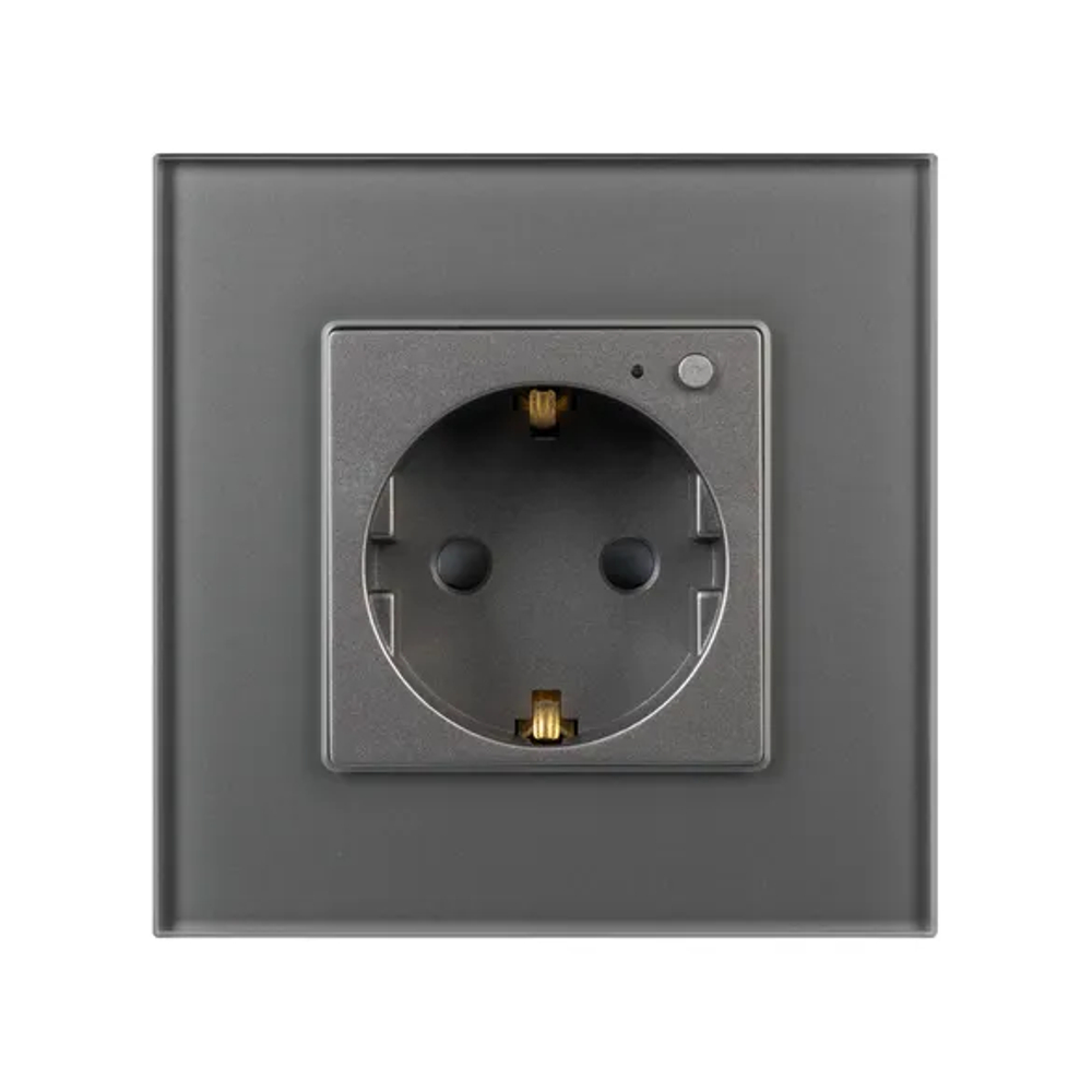 Розетка электрическая с Zigbee управлением SCT-OMALI-EUZB1-PL-GR (240V, 16A, Zigbee) (Arlight, -) 050101