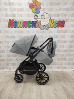 Коляска модульная Rant Moss Classic Grey