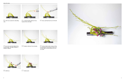 Inspiring Ikebana