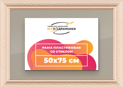 Рамка 50x75 для постера и фотографий