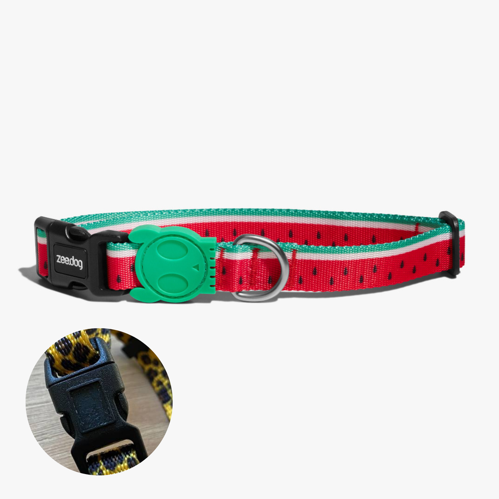 Ошейник LOLA Zee.Dog (поврежден логотип)