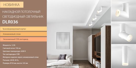 Новинка! Светодиодный стационарный светильник DLR036 12W 4200K. От компании Elektrosrandard!