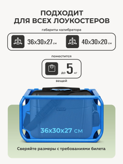 Чемодан L с кейсом в комплекте Черный
