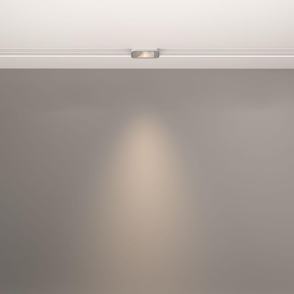 Трековый светильник Technical TR100-2-2W4K-S-W