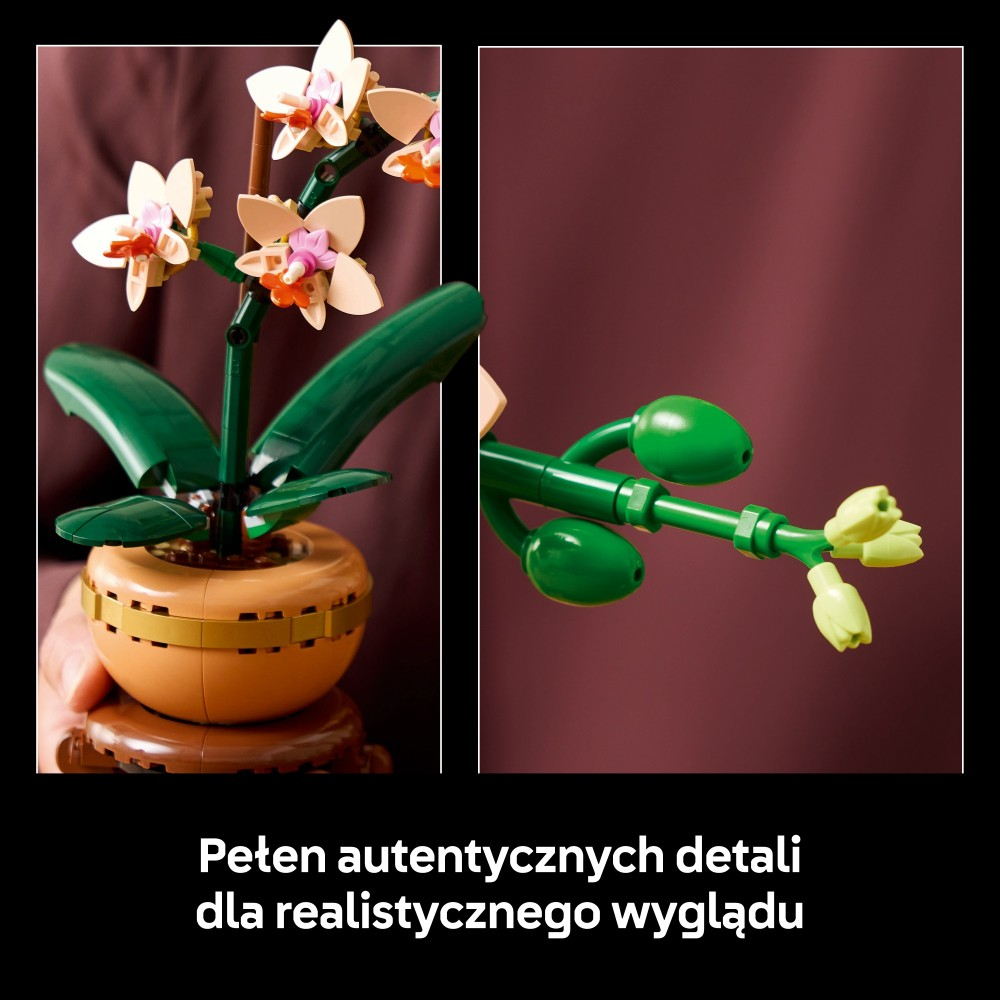 LEGO Botanicals - Маленькая орхидея 10343