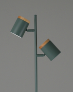 Торшер Moderli V11290-2F Asheswood