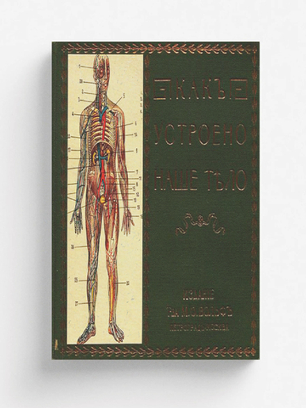 Как устроено наше тело. Анатомия для всех | Г. Клюнц