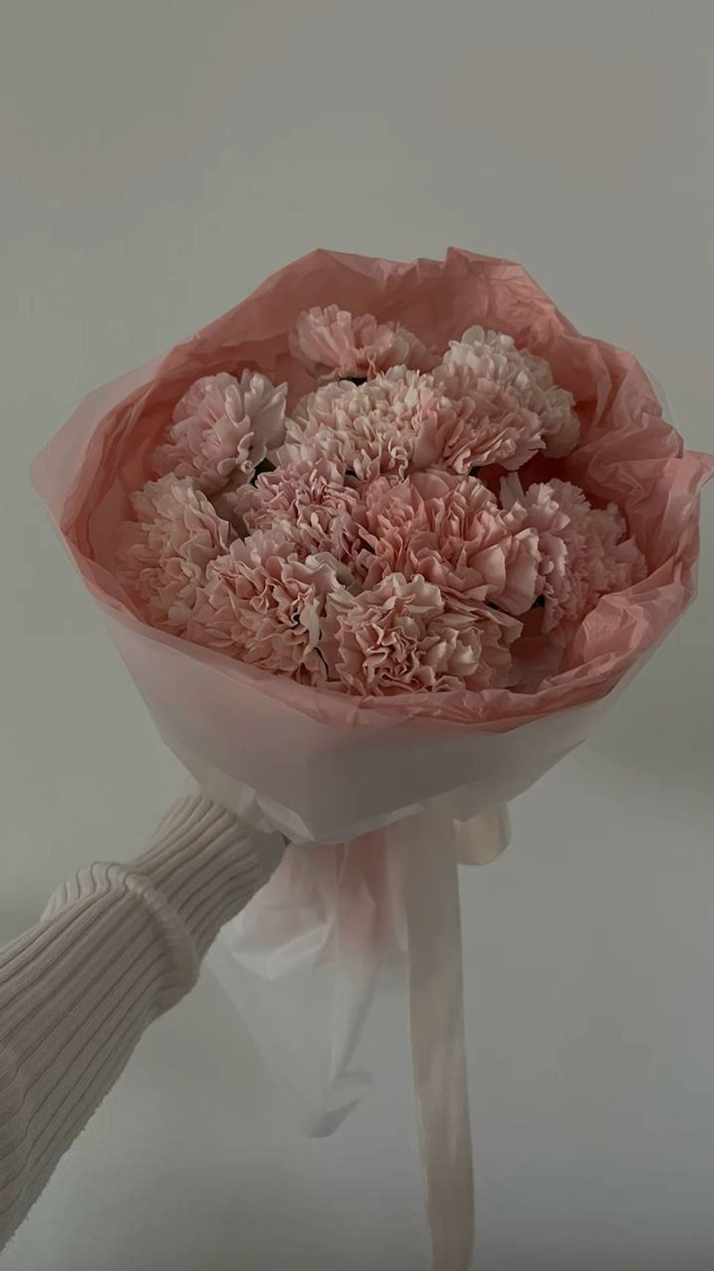 Диантусы нежное облачко