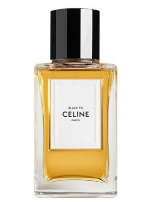 Celine Black Tie