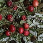 "ЛЕСНИК" чай