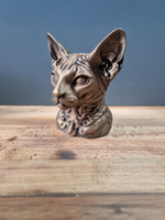 Рекс Корниш