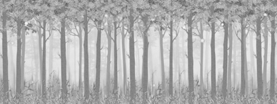 Дизайнерские обои Wall Street Fairy Foxes