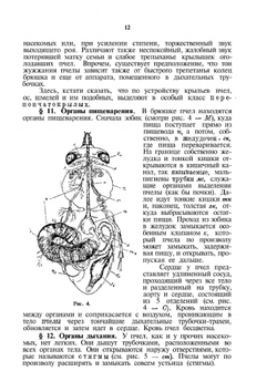 Самоучитель пчеловодства | А.С. Буткевич