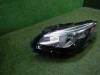 DSCN6000.JPG
