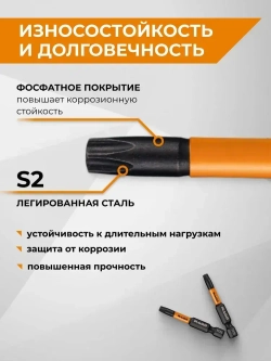 Набор бит торсионных IMPACT 2 шт TORX T25 S2 х 50 мм RAGE by VIRA