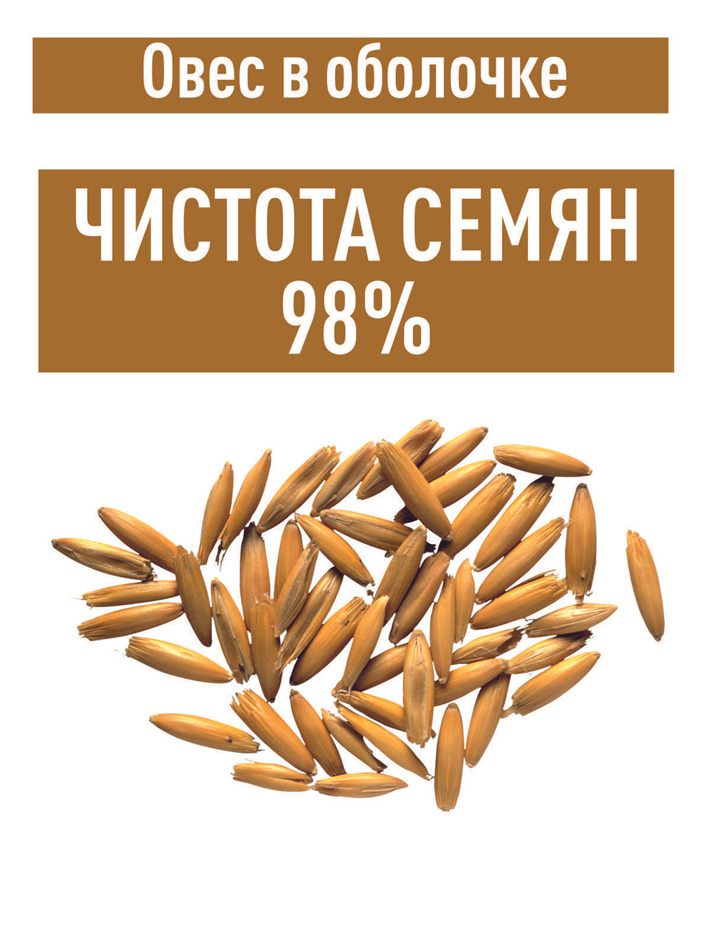 Овес для настоев, 3 кг для запаривания заваривания в оболочке неочищенный в шелухе