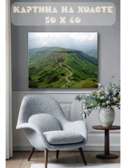 Картина на стену 40 X 50 Горная тропа