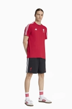 Шорты adidas Liverpool FC 25/26 DNA Tee - черный