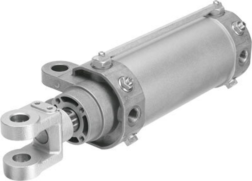DW-80-100-Y-A Цилиндр на шарнирах