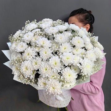 Букет из 15 кустовых хризантем сорта «Baltica white»