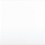 Керамическая плитка для стен ADEX NERI Liso PB Blanco Z