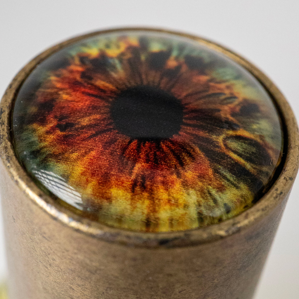 Risvelium Orto Parisi