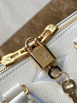 Louis Vuitton Speedy 20