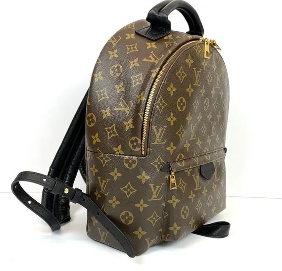 Рюкзак Louis Vuitton Palm Springs PM коричневый