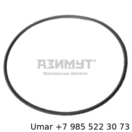 740.1002031Уплотнительное кольцо гильзы, КАМАЗ 120mm