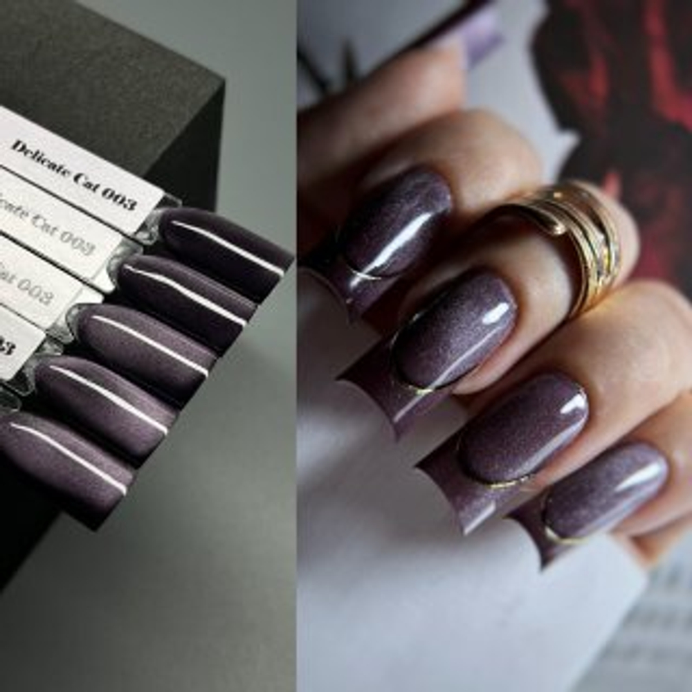 Гель лак Кошачий глаз Delicate 003 (12 мл) NAVI PROFESSIONAL