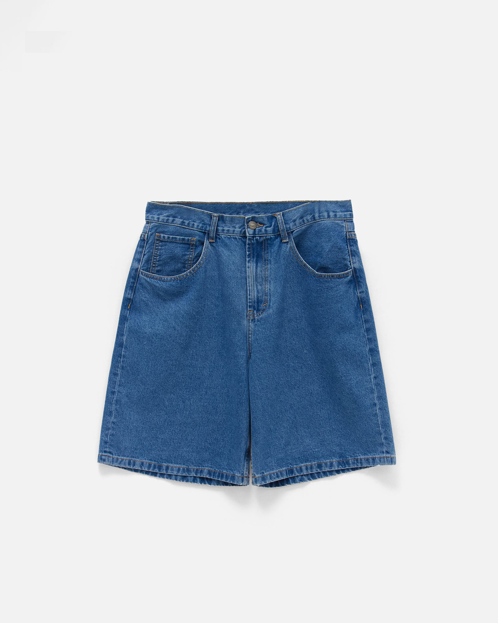 Шорты Anteater BaggyShorts-Navy