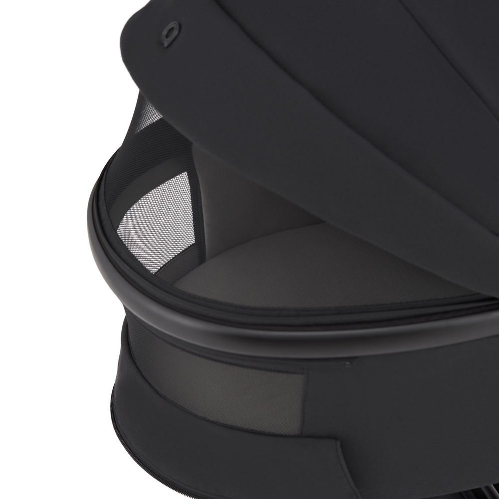 Anex Детская коляска Flo 2 в 1 Lungo