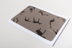 Наклейка на банковскую карту «Петроглифы Карелии»