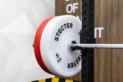 Технический диск для штанги 5 кг STECTER (D=450 мм, пластик)