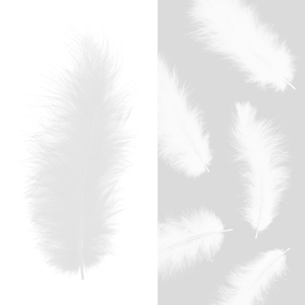 Перья белый 30 шт