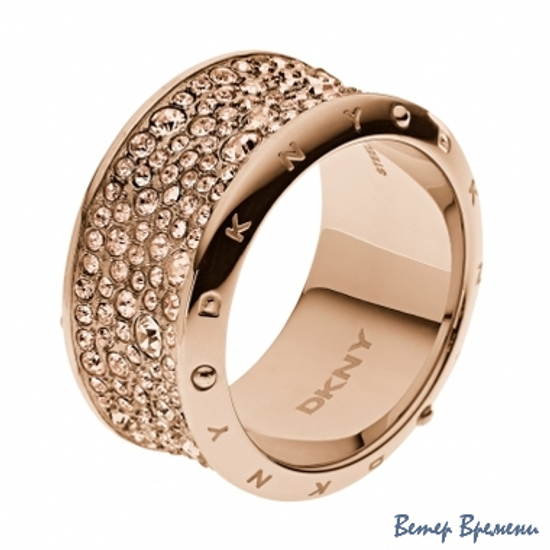Бижутерия DKNY NJ2020040 (160)