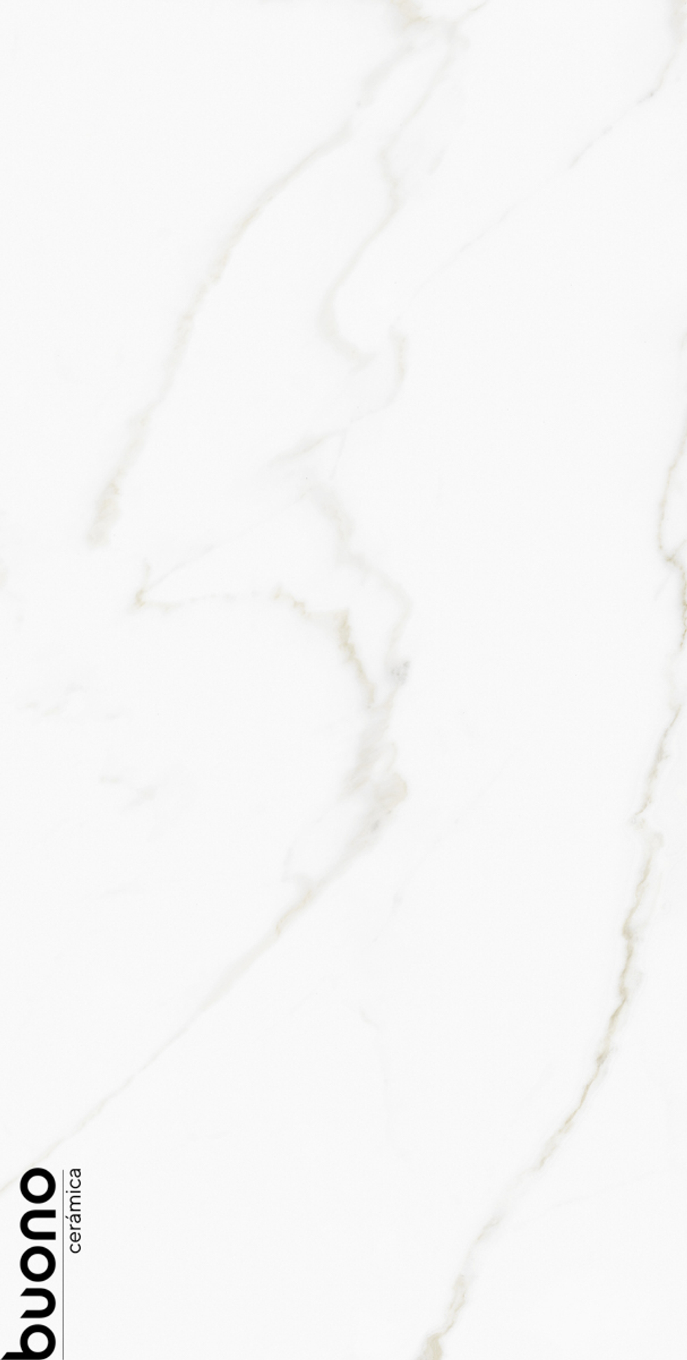 Керамогранит Buono Ceramica M4408P 1200*600*8,5мм  Omega Exotica Glossy