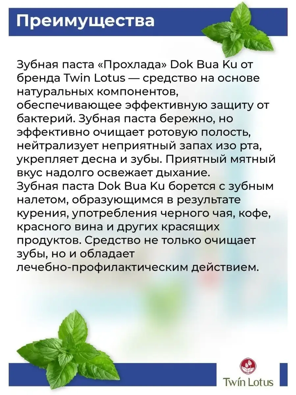 Травяная Зубная паста 100 гр