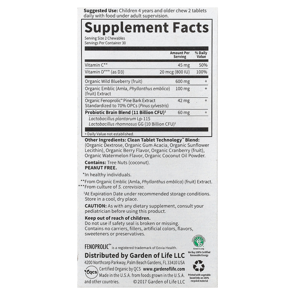 Garden of Life, Dr. Formulated Brain Health, внимание и концентрация для детей, вкус арбуза и ягод, 60 вкусных жевательных таблеток