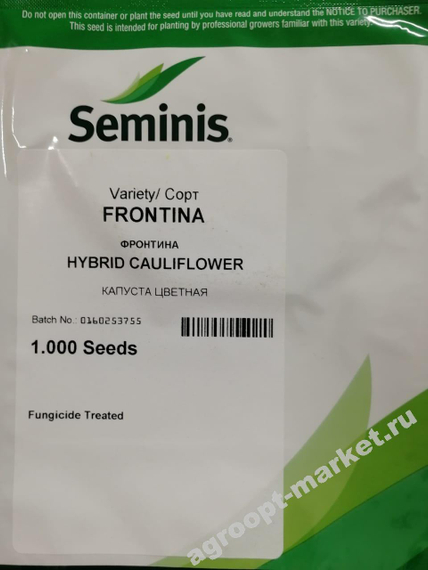 Фронтина F1 семена капусты цветной (Seminis / Семинис) – фото 2